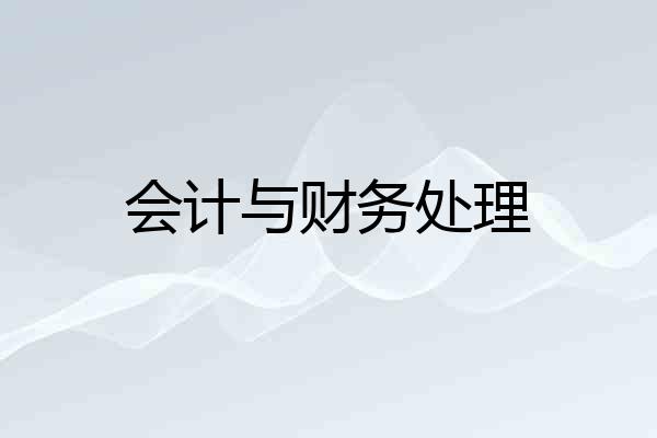 会计与财务处理
