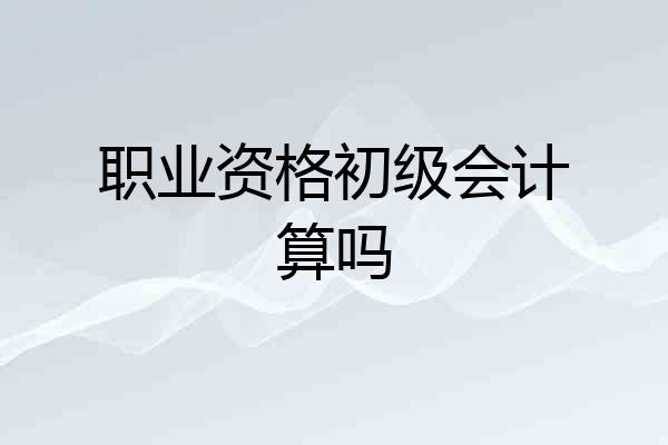 职业资格初级会计算吗