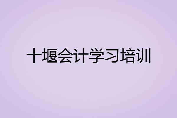 十堰会计学习培训