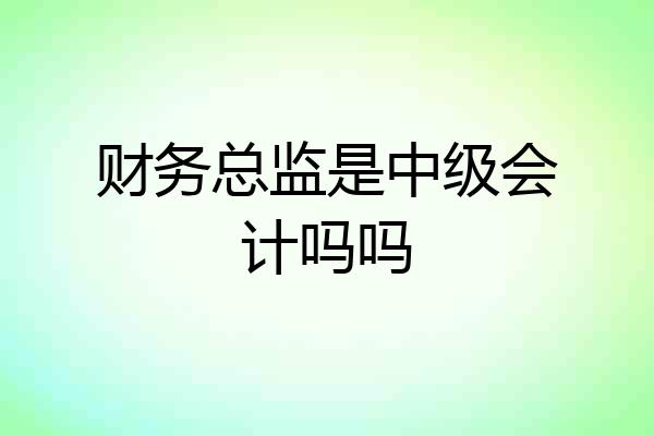 财务总监是中级会计吗吗