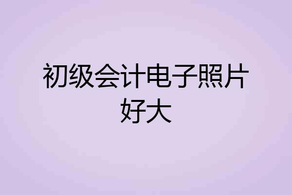 初级会计电子照片好大