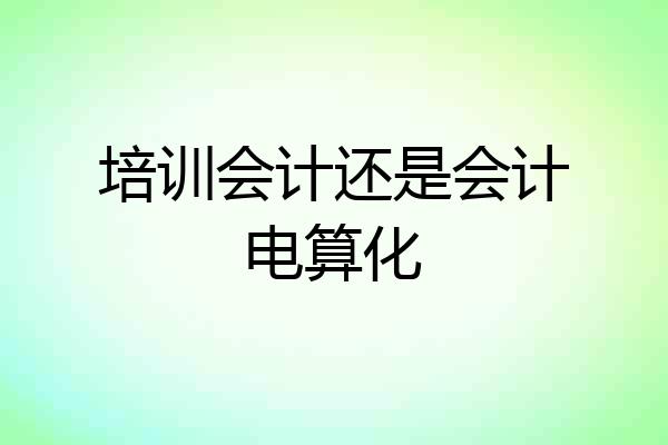 培训会计还是会计电算化