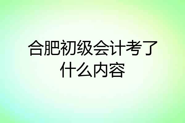 合肥初级会计考了什么内容