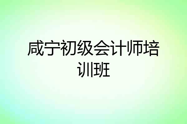 咸宁初级会计师培训班