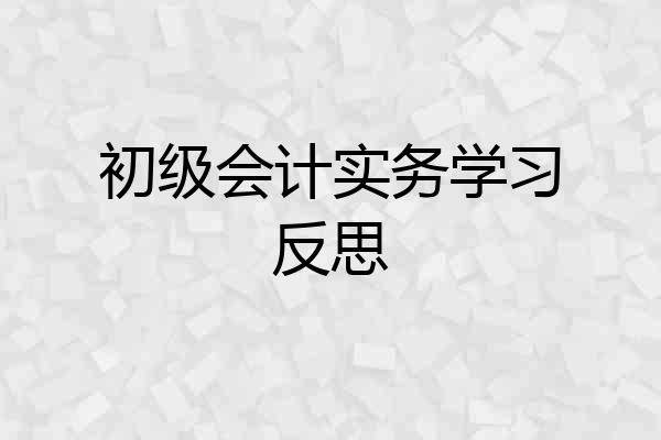 初级会计实务学习反思