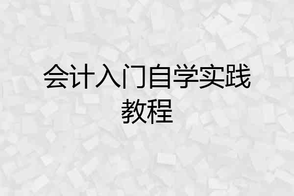 会计入门自学实践教程