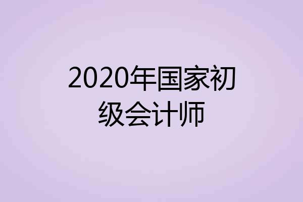 2020年国家初级会计师