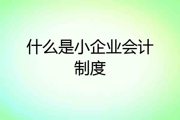 什么是小企业会计制度