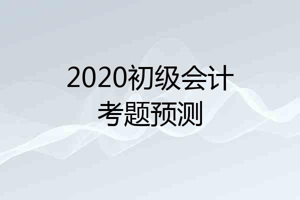 2020初级会计考题预测