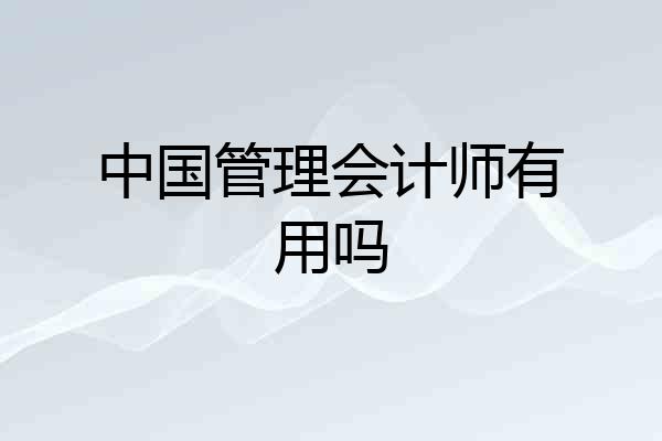 中国管理会计师有用吗