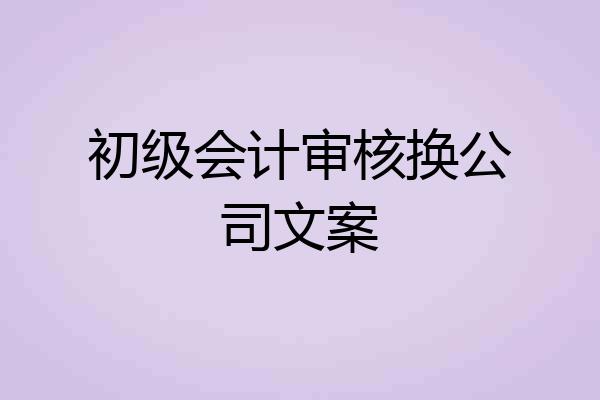 初级会计审核换公司文案