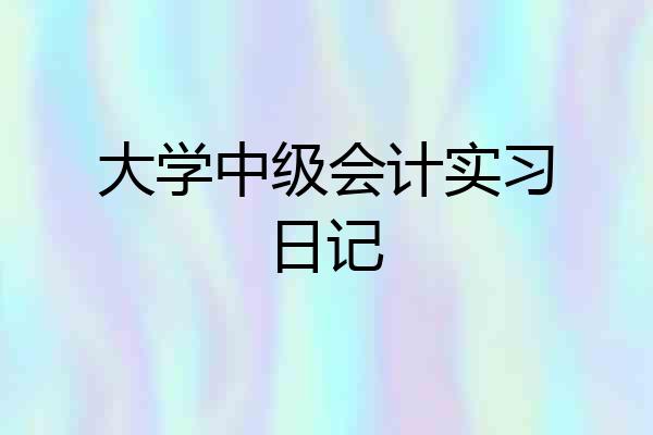 大学中级会计实习日记