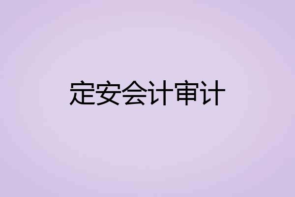 定安会计审计