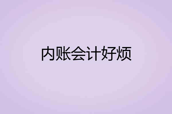 内账会计好烦