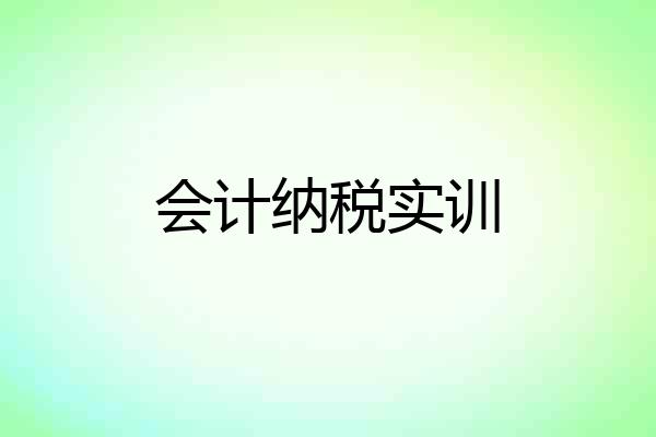 会计纳税实训