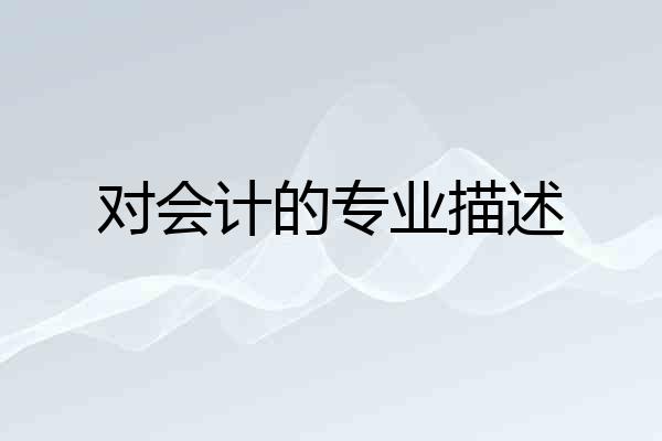 对会计的专业描述