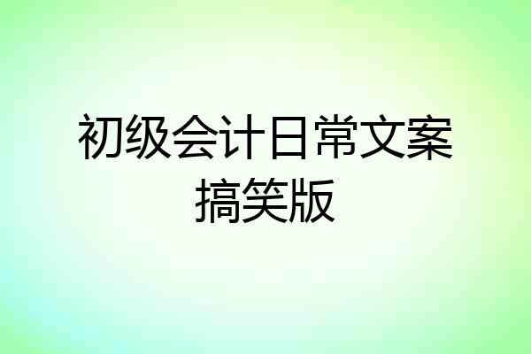 初级会计日常文案搞笑版