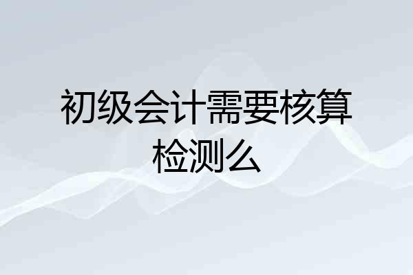 初级会计需要核算检测么
