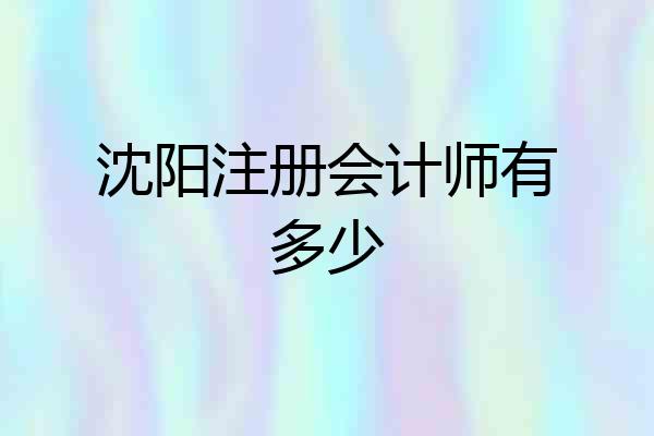 沈阳注册会计师有多少