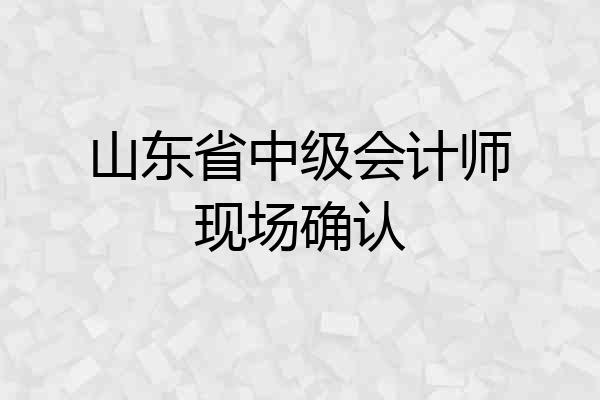 山东省中级会计师现场确认