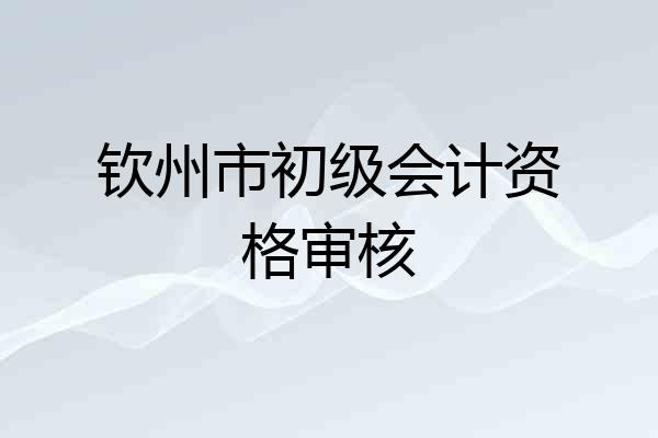 钦州市初级会计资格审核