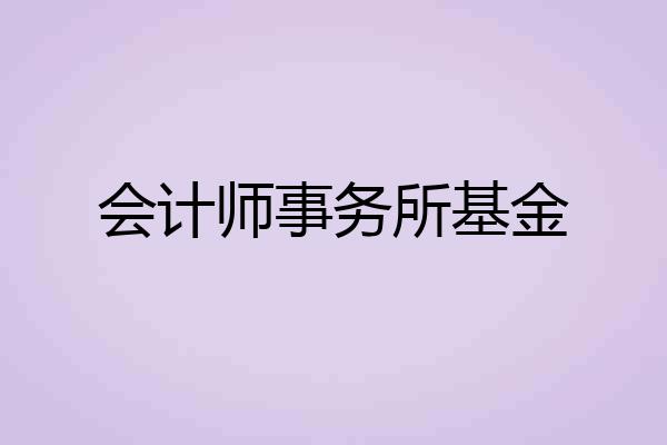 会计师事务所基金