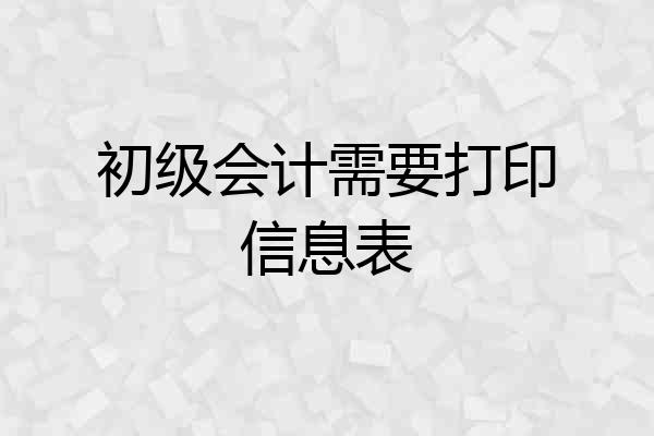 初级会计需要打印信息表