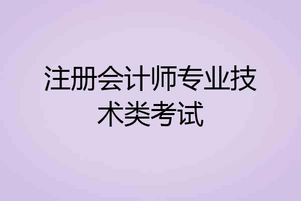 注册会计师专业技术类考试
