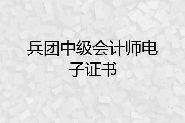兵团中级会计师电子证书