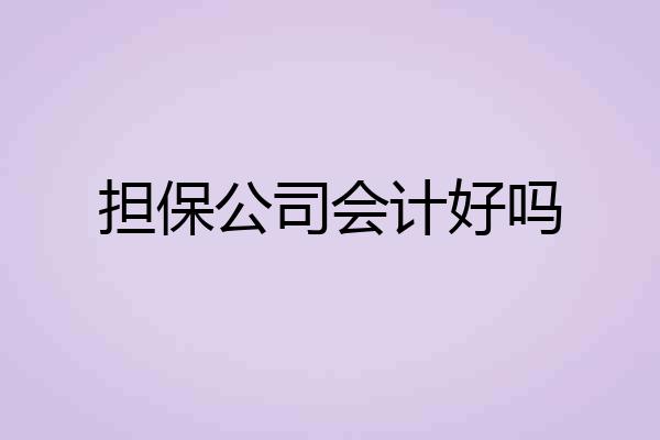 担保公司会计好吗