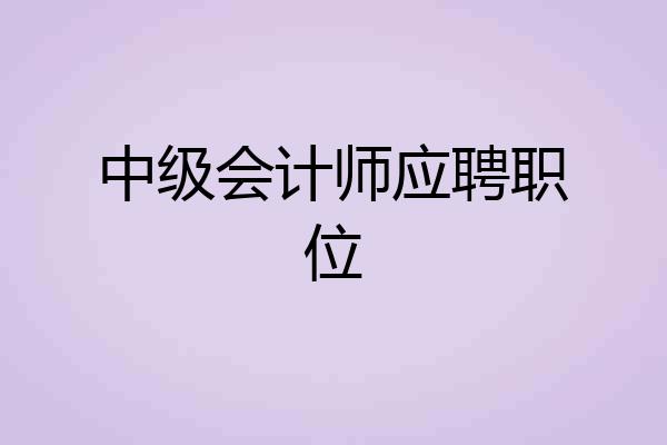中级会计师应聘职位