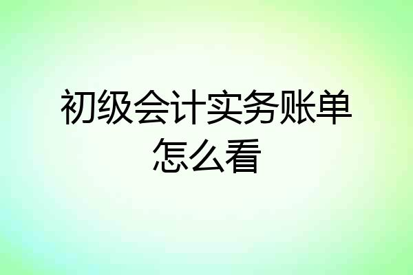 初级会计实务账单怎么看
