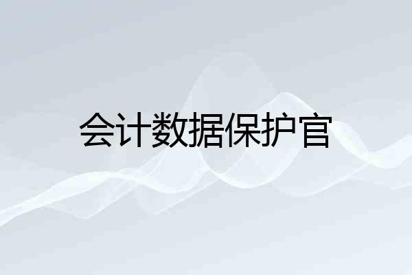 会计数据保护官