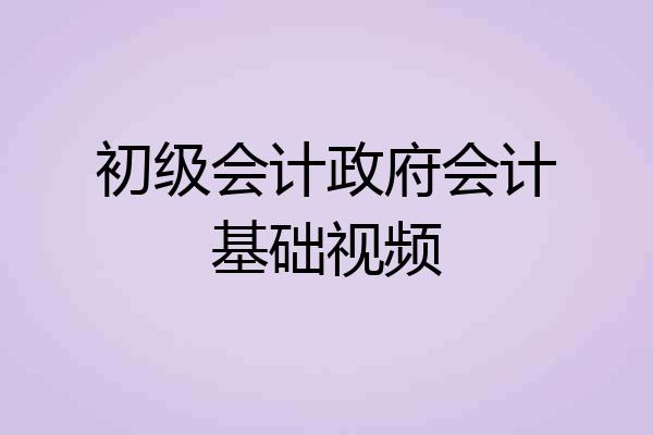 初级会计政府会计基础视频
