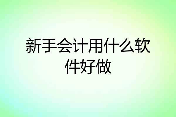 新手会计用什么软件好做