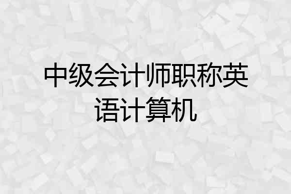 中级会计师职称英语计算机
