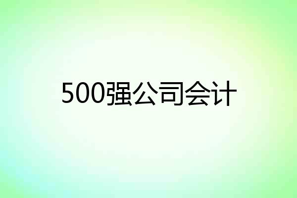 500强公司会计