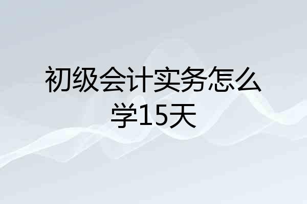 初级会计实务怎么学15天