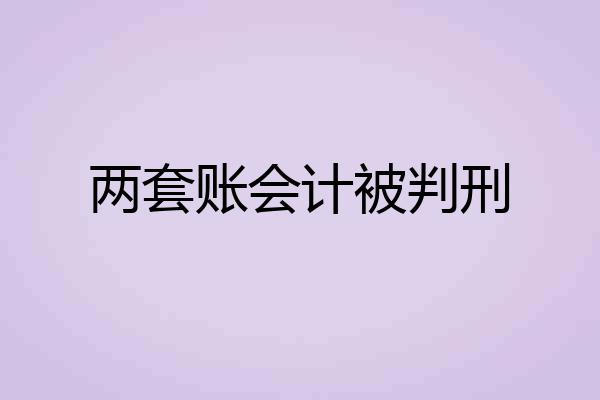 两套账会计被判刑