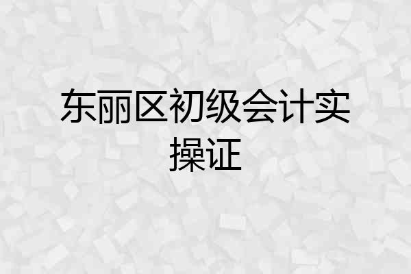 东丽区初级会计实操证