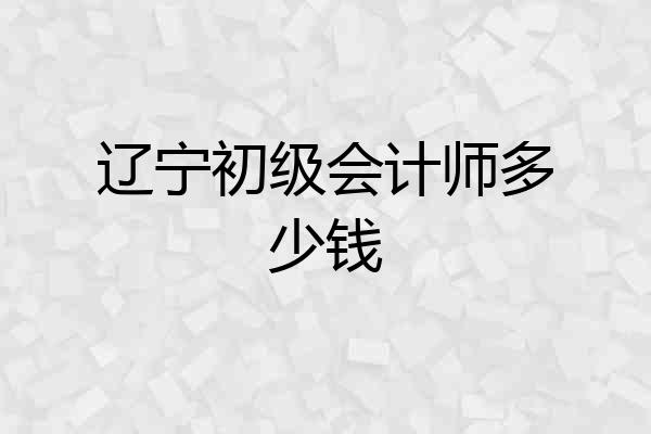辽宁初级会计师多少钱