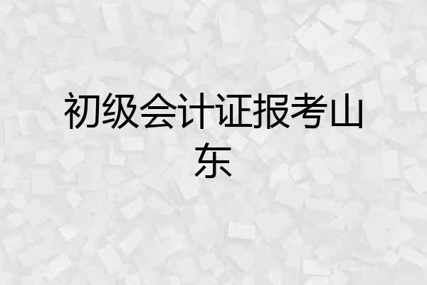 初级会计证报考山东