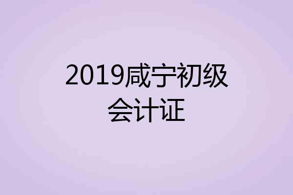 2019咸宁初级会计证