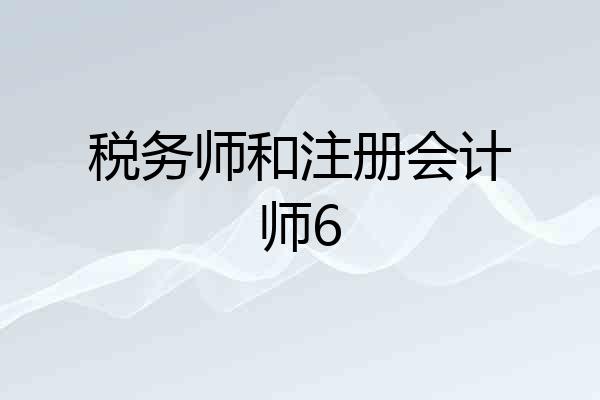 税务师和注册会计师6