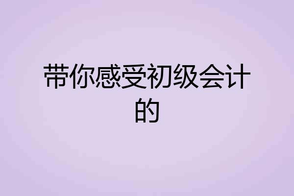 带你感受初级会计的