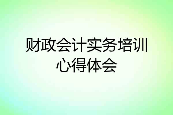 财政会计实务培训心得体会