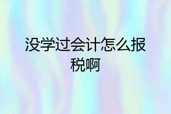 没学过会计怎么报税啊