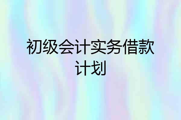 初级会计实务借款计划