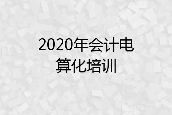 2020年会计电算化培训