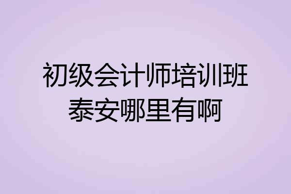 初级会计师培训班泰安哪里有啊